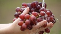 PSA: You’re Probably Washing Your Grapes Wrong—Here’s the Right Way