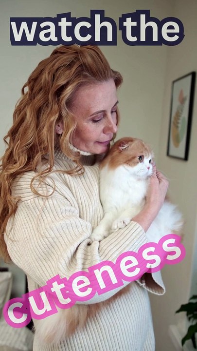 Cat Tv, Care My Ninja Cat, Meow, Meow, Cat Tik tok, My Cute types of Cats, #ninja cat #babynest80