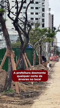 Apesar da poda nas árvores da Marcos Konder, a prefeitura desmente qualquer corte de árvores no local