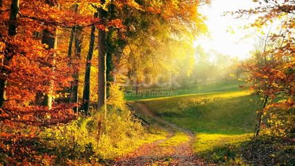 istockphoto-1652906944-640_adpp_is (online-video-cutter.com)