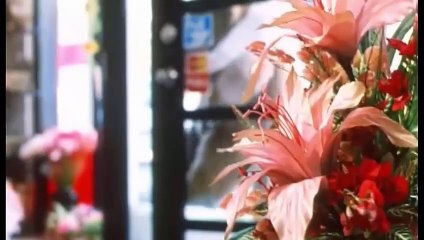 Ngụy Tình Truy Án [ Tiêu Diệt Nhân Chứng 9 / Hoàng Gia Sư Tỷ 5 +] - Yes Madam 5 (1996) - LT