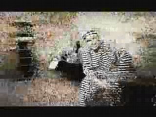 Stermann Grissemann vermieten ein Zimmer während der Euro