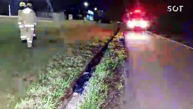 Pedestre morre após ser atropelado por caminhão na BR-277 em Santa Tereza do Oeste