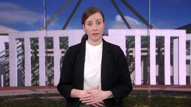 Hundreds of jobs to go as part of Rex Airlines entering voluntary administration