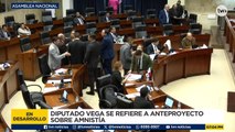 Diputados se refieren al proyecto de Ley sobre la amnistía y indulto