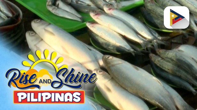 Supply at presyo ng isda sa Agora Market, nananatiling matatag sa gitna ng oil spill sa Bataan