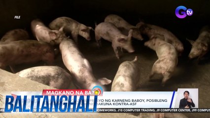 Dept. of Agriculture - Presyo ng karneng baboy, posibleng bumaba sa pagpasok ng bakuna kontra-ASF | Balitanghali