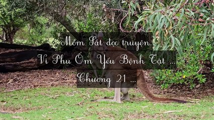 Mới 2024 Chương 21-25: Vi Phu Ốm Yếu Bệnh Tật