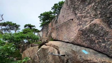 My Trip to Maine _ Acadia National Park, Bar Harbor, Lighthouses + more