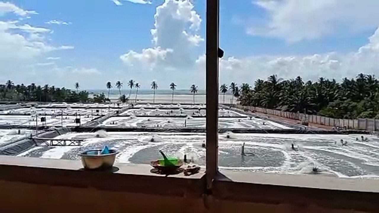 SUASANA AREA PERTAMBAKAN