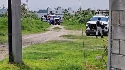 Video herunterladen: El Colectivo Guerreros Buscadores de Jalisco localizaron restos humanos en Santa Cruz del Valle