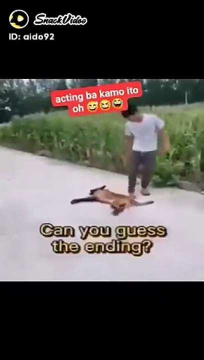 Funny video