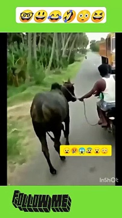 Entertainment and funny