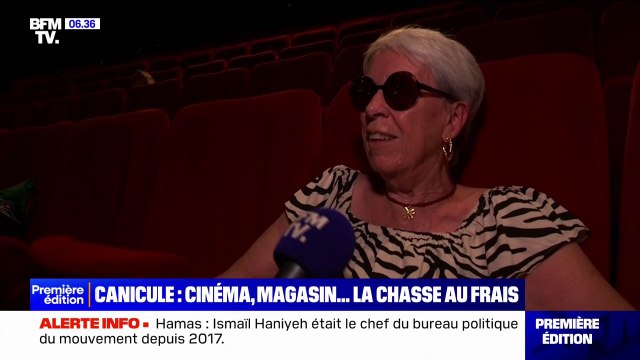 Canicule: ces Lyonnais qui cherchent le frais dans les centres commerciaux ou au cinéma