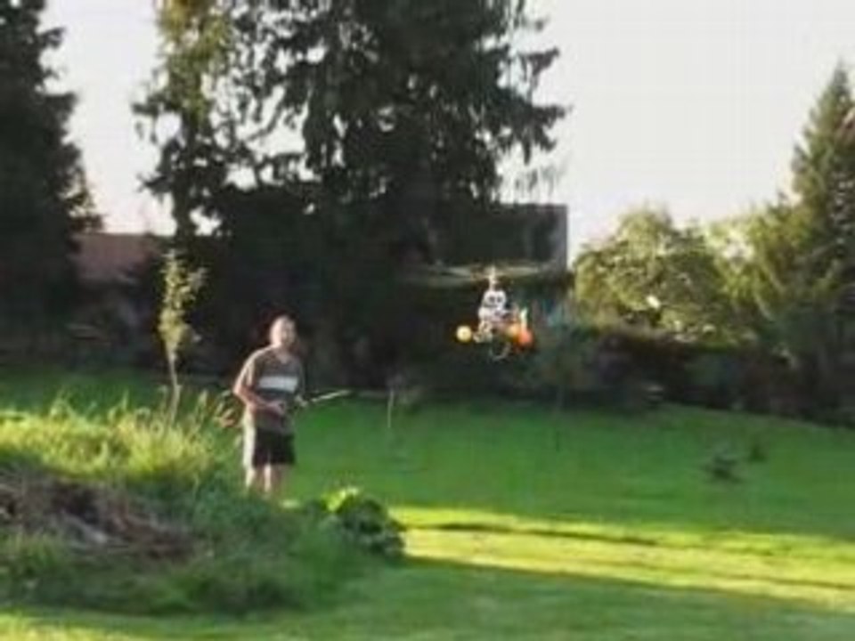 Honey bee king video_06 Tondeuse