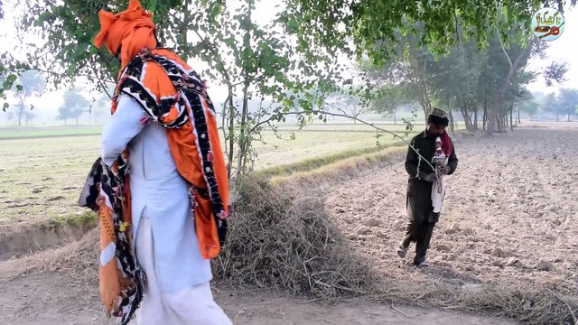 2 jogion ne mil kar bara khatarnak black cobra saanp pakar lia _ safdar jogi _ fiaz jogi