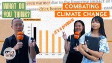 Are Singaporeans eco-friendly? | What Do You Think?