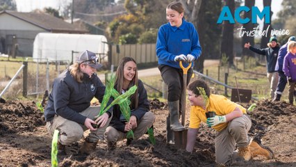 Students plant 575 trees in Exeter (31/7/24)