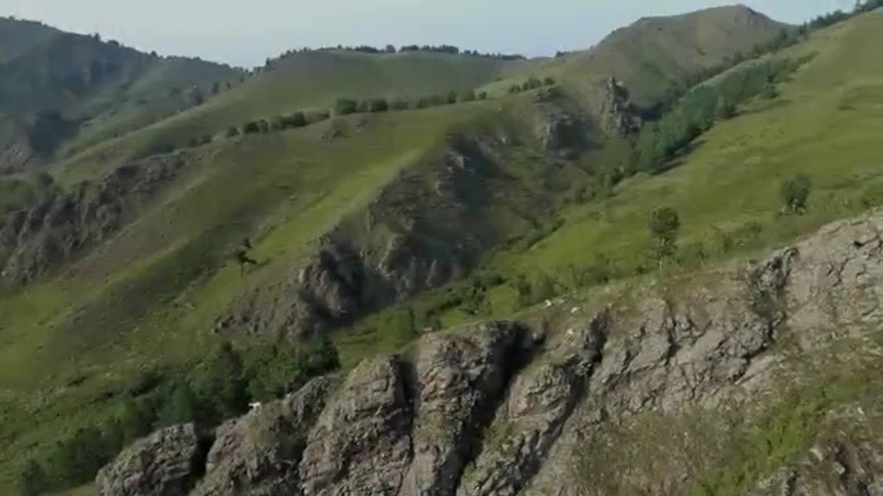 Amazing Scene of Wild Animals In 4K - Scenic Relaxation Film