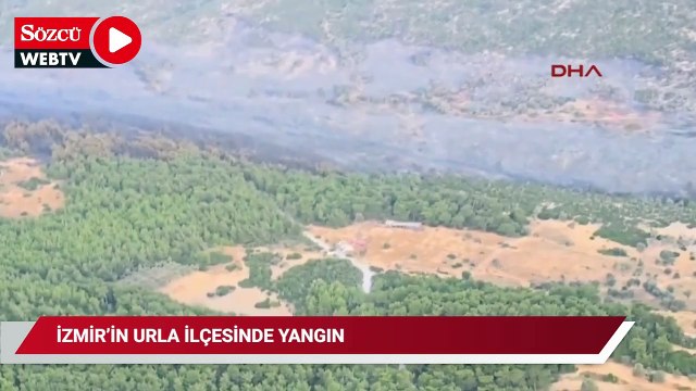 İzmir'in Urla ilçesinde orman yangını
