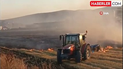 Ağrı'da 5 dönümlük tarla küle döndü