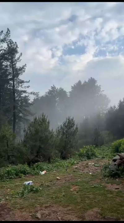 beautiful view