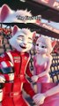 Cat's Fast and Furious- Race for Love! #cat #racing #cute #emotional #story #car