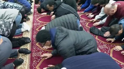 أصوات الأميركيين العرب في ميشيغان: فرصة ذهبية لا يمكن لهاريس تفويتها