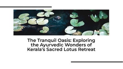 Best ayurvedic resorts in kerala