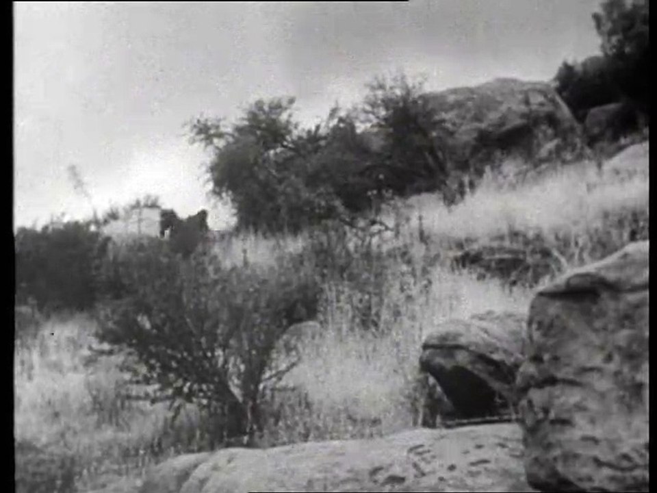 Fury E04-Die Pferdehändler