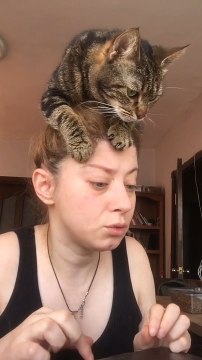 Cat Climbs and Sits On Top of Woman's Head
