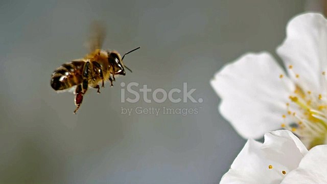 istockphoto-682674920-640_adpp_is