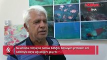 Midyeyle domuz balığını besleyen profesör, neye uğradığını şaşırdı