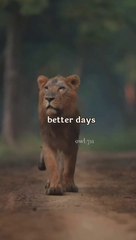 Motivation // better days are comming