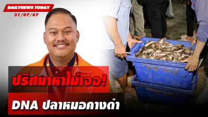 ปริศนาหาไม่เจอ! DNAปลาหมอคางดำ | DAILYNEWSTODAY 31/07/67