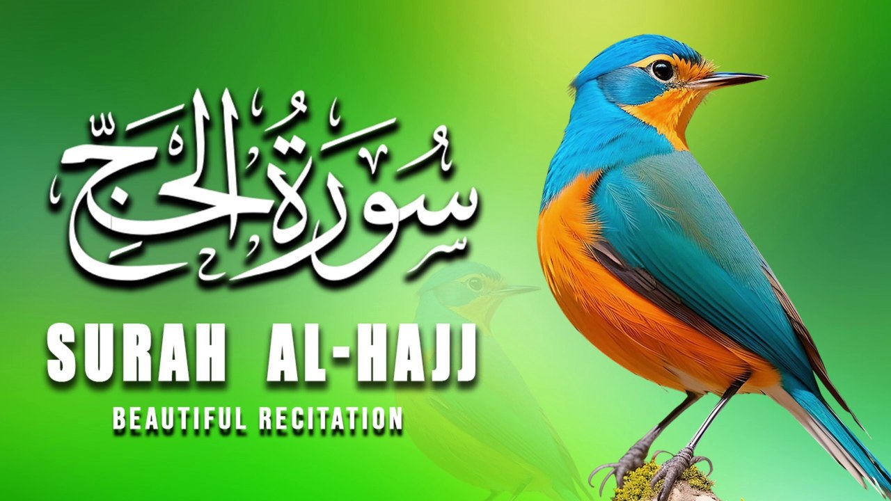 Relaxing and Heart Touching Voice Recitation Of Surah Al-Hajj Full |سورة الحج|