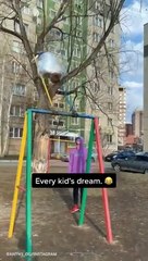 The best examples of teamwork