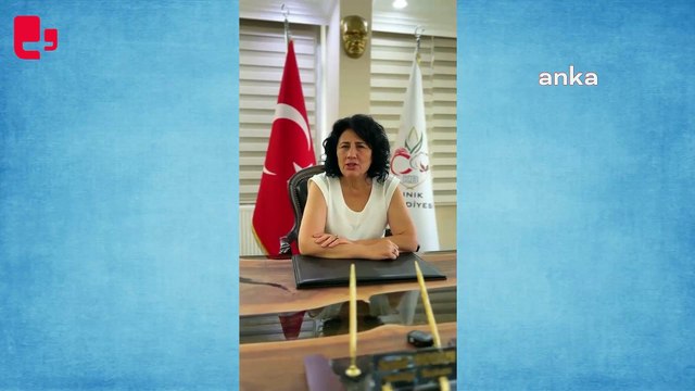 CHP'li İzmir Belediye Başkanları'ndan sokak hayvanları ile ilgili yasaya ortak tepki