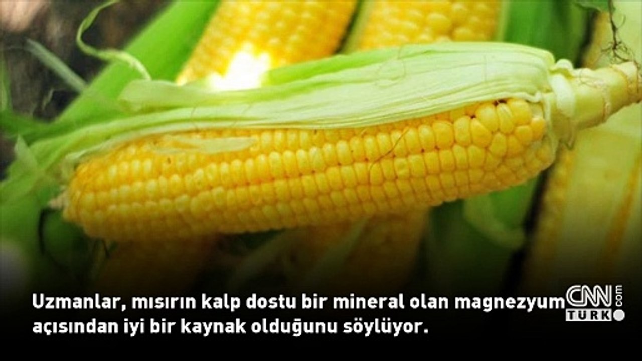 31 Temmuz 2024 günün öne çıkan sağlık haberleri...