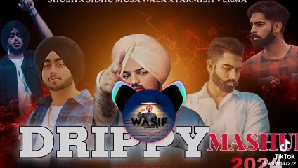 Best Sidhu Moose Wala Mix Songs 🎶 | Ultimate Collection 2024