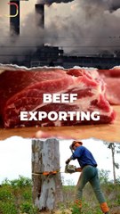 A Fearless Life || Acharya Prashant