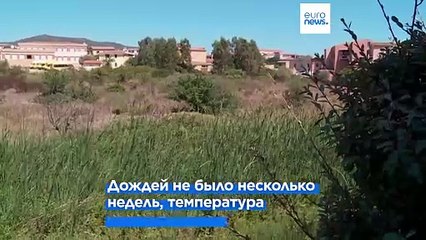 На Сардинии объявлено ЧП из-за засухи