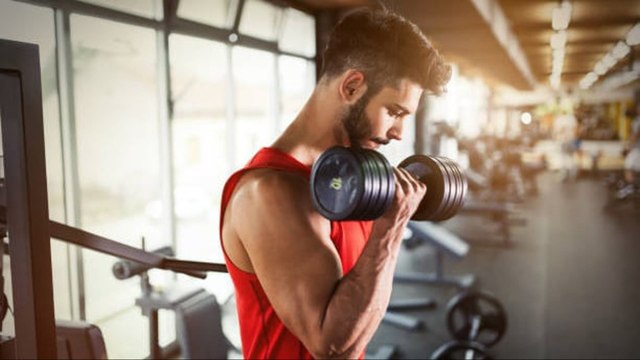 Descubre Qué Ejercicios De Brazo Son Los Mejores Para Ti