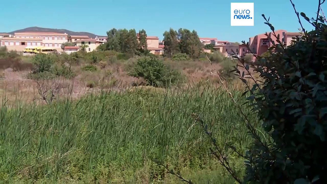 Dürre und Wasserknappheit: Sardinien ruft den Notstand aus