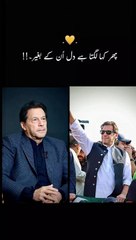 Prime minister Imran Khan viral video status #imrankhan