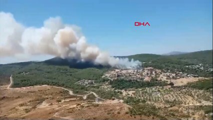 Urla Çeşmealtında orman yangını