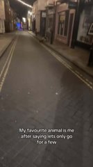 Woman Falls While Trying to Jump Over Post