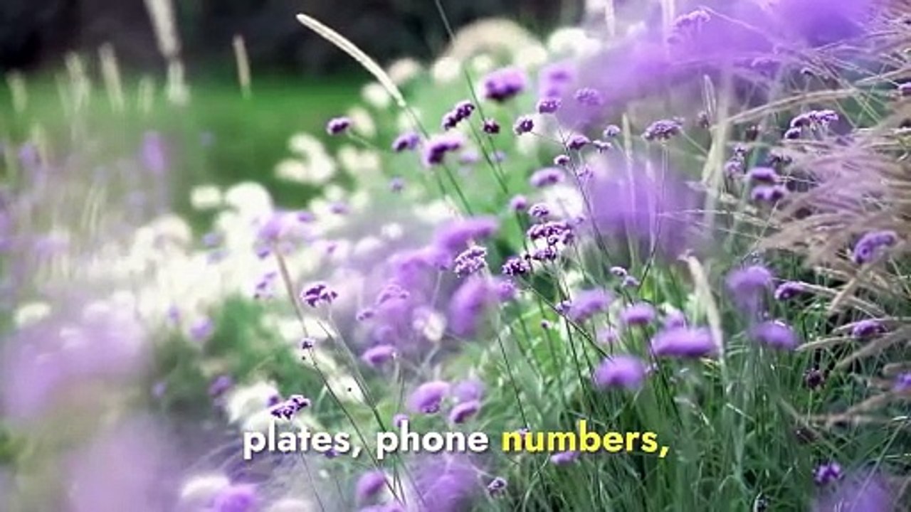 What Does 8888 Angel Number Mean for Career Growth? (Numerology & LOA) ✨