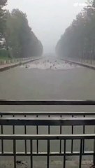 Les poissons adorent la pluie, la preuve