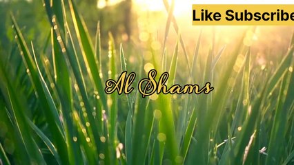 Al Shams Surah! Qur'an surah #Quran